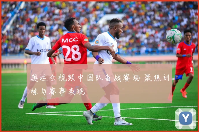 奥运会视频中国队备战赛场 聚焦训练与赛事表现