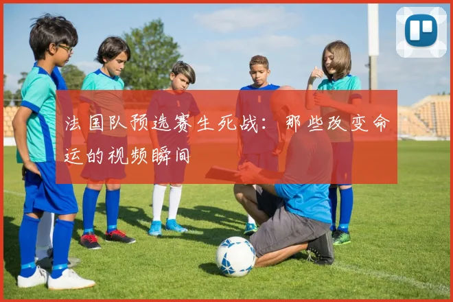 法国队预选赛生死战:那些改变命运的视频瞬间