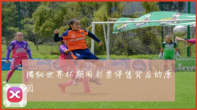 揭秘世界杯期间彩票停售背后的原因